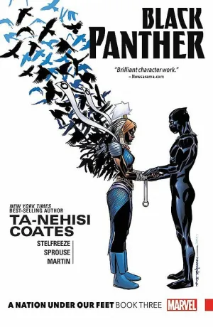 Black Panther: A Nation Under Our Feet, Book 3 by Ta-Nehisi Coates (Author), Valerio Schiti (Illustrator), Brian Stelfreeze (Cover Art)